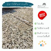 ราคา ปลาไส้ตันตากแห้ง ปลาไส้ตัน ปลาไส้ตันตัดหัว (26810129866)