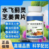 ราคา ตับบํารุงและปกป้องตับ Milk Thistle Ganoderma Turmeric Tablets วิตามิน Plant Essence Liver Protecting Tablets for Overtime and Night Work Brand ของแท้] ตับ-นูรี (50403116824)