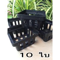 ราคา กระถางปลูกกล้วยไม้ ทรงสี่เหลี่ยม ขนาด 4 นิ้ว สีดำ จำนวน10 ใบ กระถางปลุกต้นไม้ กระถางพลาสติก กระถางแขวน ภาชนะปลูกกล้วยไม้ (7560273140)