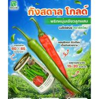 ราคา เมล็ดพันธุ์พริกหนุ่มเขียว(กังสดาล)พริกหนุ่มพริกยำเขียว (25058980660)