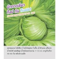 ราคา เมล็ดพันธุ์ ผักกาดเขียว ท๊อป กัน ทีเอ061 - Chinese Mustard Top Gun TA061 ตราดอกแตง เมล็ดพันธุ์คุณภาพ "เพื่อนเกษตรกร" (3242155163)