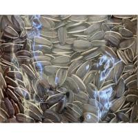 ราคา เมล็ดทานตะวันปลูกง่าย (22486163969)