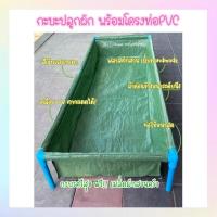 ราคา พร้อมส่ง กะบะเพาะปลูกพร้อมโครง ใช้ดีคุ้มค่ามาก กะบะปลูกผัก แปลงปลูกผัก กะบะเพาะปลูก กะบะเพาะปลูกผักสวนครัว (3907199629)