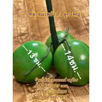 ราคา ผลไม้ปลอม ทลายมะพร้าวปลอม(1ทลายมี3ลูก) (2722506700)