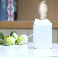 ราคา เครื่องพ่นไอน้ำ humidifier 200 มล. (13824878143)