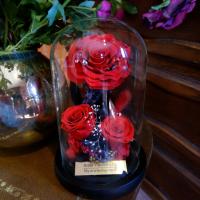 ราคา กุหลาบในโหลแก้ว กุหลาบอมตะ LH3ดอก กุหลาบสีแดง (24440530330)