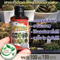 ราคา "ธานอสพลัส" เกษตรเงินล้าน สารชีวภัณฑ์ป้องกันและกำจัดแมลง (ขนาด 100cc) (3942863785)