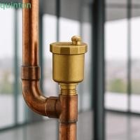 ราคา QUINTON วาล์วปล่อยไอเสียอัตโนมัติ, วัสดุทองเหลืองมาตรฐานชายด้าย Air Vent Valve, ตัวแทนจําหน่ายอัตโนมัติ Manifold ความดัน Release วาล์วลมทองเหลือง (41519828415)