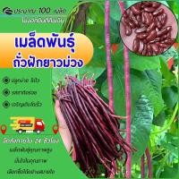 ราคา 100 เมล็ด เมล็ดพันธุ์ถั่วฝักยาวม่วง เมล็ดถั่วฝักยาวม่วง เมล็ดถั่วฝักยาว ถั่วฝักยาว ฝักม่วง ฝักม่วง (29631977265)