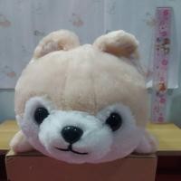 ราคา Amuse Mameshiba 3 Brothers Series Plush Dog-Sasuke /ตุ๊กตาหมาชิบะ ซาสุเกะ ของแท้ญี่ปุ่นมือสอง ป้ายห้อย (52452301561)