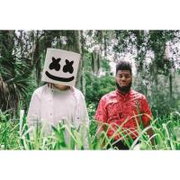 ราคา โปสเตอร์ DJ Marshmello ดีเจมาร์ชเมลโล Electronic Music Poster ภาพถ่าย รูปภาพ ตกแต่งผนัง วงดนตรี ตกแต่งบ้าน (5466008388)