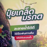 ราคา ปุ๋ยเกร็ด มรกต ตรารุ่งอรุณ (42125095275)