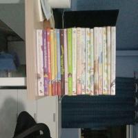 ราคา นิยายแจ่มใส Darling นิยายลูกชุบสะสม 4เล่ม100 (7585047000)