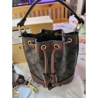 ราคา กระเป๋าcoachทรงขนมจีบ (24706711545)