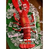 ราคา โมเดลล็อบสเตอร์ (วัสดุผลิตจากพลาสติค) (2382220090)