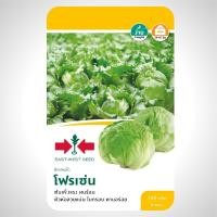 ราคา เมล็ดพันธุ์ ผักกาดแก้ว โฟรเซ่น ใบกรอบ ทนร้อน อร่อย ดูแลน้อย ต้นแข็งแรง ปลูกง่าย น้ำหนักดี (44178071328)