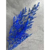 ราคา ดอกเเคสเปียร์สีน้ำเงิน ดอกไม้ย้อมสี ดอกไม้ธรรมชาติ แคสเปียร์แห้ง ดอกไม้แห้ง (42702587745)