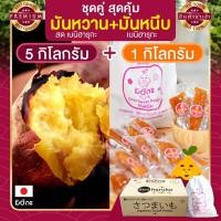 ราคา มันหวานญี่ปุ่น 5 กก. + มันหนึบญี่ปุ่น 1 กก. มันหวานหนึบ เบนิฮารุกะ มันญี่ปุ่นหวาน beni haruka มันหนึบ มันญี่ปุ่น (8463225792)