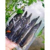 ราคา ฮาลาล ปลาดุกร้า แดดเดียว รสชาติอร่อย ปลาดุกหอม สามรส (4936608032)