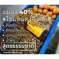 ราคา อาหารนกสูตรแมลง 40% + ไข่มดแดง นกกางเขนดง นกบินหลา นกกรงหัวจุก (51253354786)