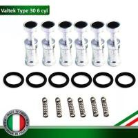 ราคา Repair Set Valtek Injector Type 30 (6 pcs) - ชุดซ่อมรางหัวฉีดยี่ห้อ Valtek Type 30 (รางหัวฉีดแท้จาก Italy) (6 ชิ้น) (2337247370)