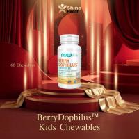ราคา Now Kids Berry Dophilus Probiotic 2 Billion CFU l โพรไบโอติก สำหรับเด็ก, 60 Chewables (54602908037)