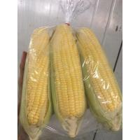 ราคา ข้าวโพดเหลืองหวาน - ฝักข้าวโพด หัวข้าวโพด (43815121313)