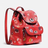 ราคา Coach เป้มินิ (219424496)