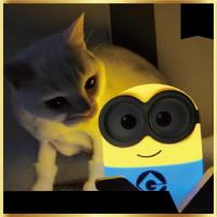 ราคา [Limited Edition] โคมไฟมินเนี่ยน BOB Mood Light (18819651798)