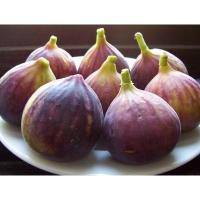 ราคา เมล็ด มะเดื่อฝรั่ง - Turkey Fig Fruit (135856756)