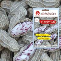 ราคา เมล็ดพันธ์ถั่วลิสงลายเสือ (เมล็ดพันธุ์คุณภาพดี) (19360879256)