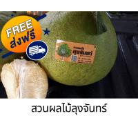 ราคา ส้มโอขาวน้ำผึ้ง/ปลอดสาร/เกษตรอินทรีย์/ราคาถูก/พร้อมส่งทันที/ตรุษจีน (11238687038)