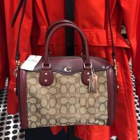 ราคา Coach หมอน 9.5” (1891439891)