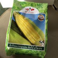 ราคา ข้าวโพดหวานลูกผสมจัมโบ้สวีทF1 ตราศรแดง ข้าวโพดข้าวเหนียวลูกผสม เหนียวทับทิมF1 จำนวน 100 กรัม (8767911843)