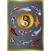 ราคา รูปโปสเตอร์ ปลาคาร์ฟ  ไม่มีกรอบ ติดผนัง ภาพมงคล เสริมฮวงจุ้ย ตกแต่งบ้าน ขนาด A3 (25389469289)