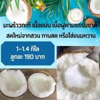 ราคา มะพร้าวกะทิทับสะแก หอม มันอร่อย (8714239861)