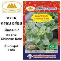 ราคา ภูเขาทอง เมล็ดคะน้าฮ่องกง ขนาด 5 กรัม เม็ดคะน้า คะน้าฮ่องกง เมล็ดพันธุ์พืช (8272307852)