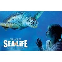 ราคา [QRCode] บัตรซีไลฟ์ สยามโอเชียลเวิลด์ Sealife Ocean World Sea Life + นั่งเรือท้องกระจก + ภาพยนต์ 4 มิติ (18954205329)