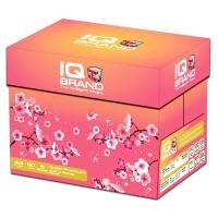 ราคา {ยกลัง} IQ Brand กระดาษถ่ายเอกสาร A4 80 แกรม IQ ชมพู Grade A (เกรดเทียบเท่ายี่ห้อ one) (21947907998)