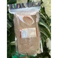 ราคา สาคูต้นพัทลุง #แป้งสาคูต้น 1กก#ของดีเมืองลุง #สินค้าขึ้นชื่อของพัทลุง #ต้นสาคู #พัทลุง #แป้งสาคู (43116762677)