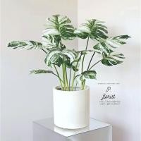 ราคา กิ่งใบมอนสเตอร่าลายด่างx1 (PF-F2018) ใบไม้ปลอม ใบไม้ประดิษฐ์ ใบลายด่าง มอนสเตอร่า ซานาดู ดอกไม้ประดิษฐ์ พร๊อพถ่ายรูป (18926455804)