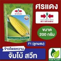 ราคา เมล็ดพันธุ์ ผักซอง ศรแดง Big ข้าวโพดหวาน จัมโบ้สวีท บรรจุ 200 กรัม (22171663503)