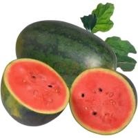 ราคา ความงามสีดำยักษ์ Watermelon Seeds for Planting (10 เมล็ด) ซุปเปอร์หวานฉ่ำน้ำเมล็ดแตงโมเมล็ด pa ควัน ง่าย ๆ (50901389724)