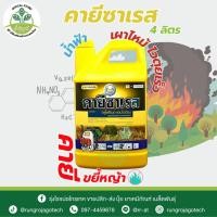 ราคา คายีซาเรส (กลูโฟซิเนต-แอมโมเนียม) 15% ขนาด 4 ลิตร ยาฆ่าหญ้าทั้งใบแคบและใบกว้าง ใช้แทนพาราควอต ของแท้แน่นอน (53751801566)