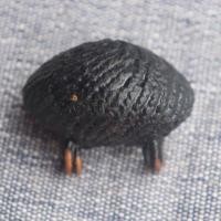 ราคา เบี้ยแก้ หลวงปู่เจือ ยุคปลาย วัดกลางบางแก้ว เบี้ยแก้ถักเชือกจุ่มรัก ห่วงทองแดง สภาพไม่ผ่านการใช้งาน (25633613283)