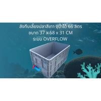 ราคา ลังพลาสติกแบบสูงทึบสีเทา วาล์วฟ้า ขนาด 37x58x31CM ระบบover flow อ่างเลี้ยงปลาลังทึบ อ่างปลาบอลลูน อ่างปลาเมกาดะ อ่างปลา (57855735653)