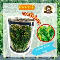 ราคา ผักกวางตุ้งดอก กวางตุ้งดอกฮ่องกง 80กรัม (12232934176)