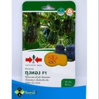 ราคา เมล็ดฟักทอง ลูกผสม ถุงทอง F1 ตราศรแดง (7040145340)