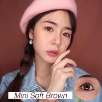 ราคา Mini Soft Brown / Gray [-50ถึง-1000] By Kittykawaii คอนแทคเลนส์ (42267906231)