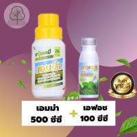 ราคา ส่งฟรี⭐️ ชุดเล็ก เอฟอช 100ซีซี + แกรมม่าทู 500ซีซี / + เอมม่า 500ซีซี / + ซีโฟ 500ซีซี (22837442727)